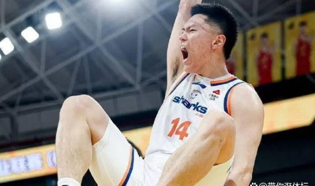 开云体育网页-“国产锡安”化身篮板狂人李弘权从综艺红人到总决赛奇兵